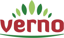 verno logo